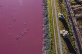 Dva jezera u Argentini postala roze boje, ekolozi zabrinuti
