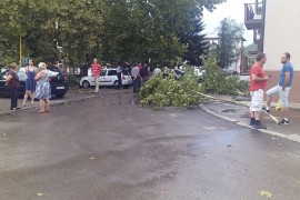Nevrijeme u Milićima: Jak vjetar i kiša rušili stabla, iščupali ...