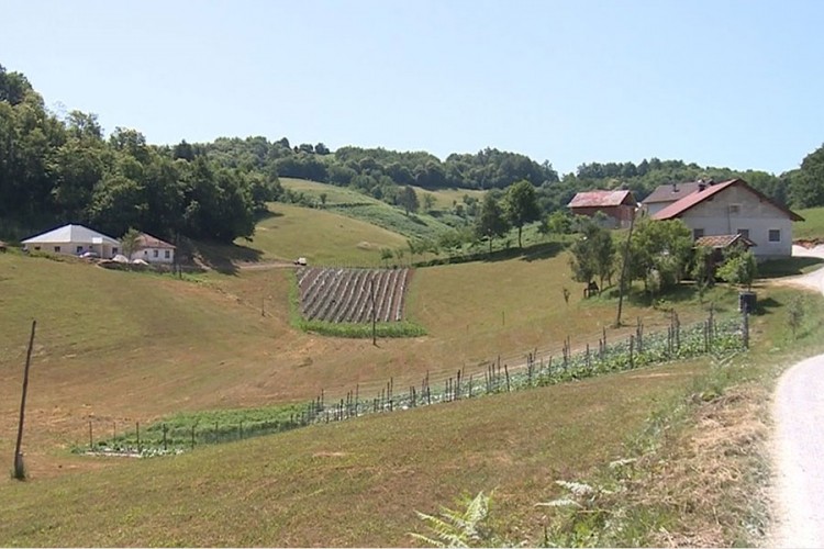Vruće ljeto bez vode u selu kod Bužima
