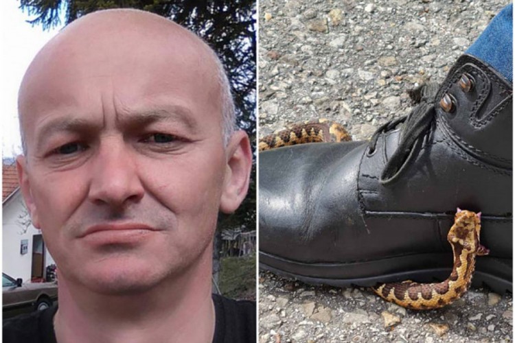 Ujeo ga poskok: Osjetio sam kako me nešto "klepi'', kao iglom