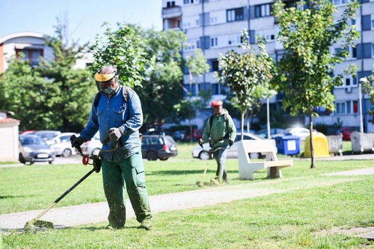 "Presušile" pare za zelene površine u Banjaluci
