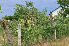Snažan vjetar čupao stabla u Novom Gradu