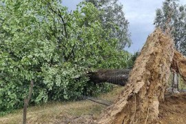 Nevrijeme u dijelovima BiH: Vjetar rušio krovove, lomio drveće i ...