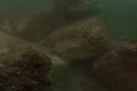 Pronađene netaknute korpe s voćem iz IV vijeka p.n.e.