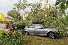 Snažno nevrijeme u Banjaluci, vjetar obarao stabla