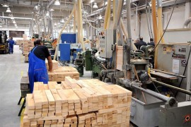 Drvna industrija jedini sektor sa suficitom u BiH