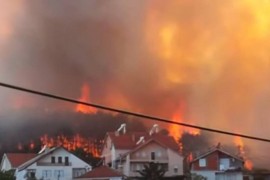 U Evropi vatra "guta" sve pred sobom