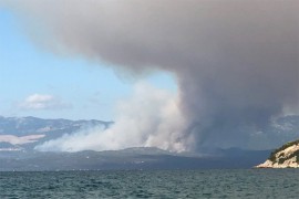 Grčka procjenjuje štetu od požara, zasjeda Vlada
