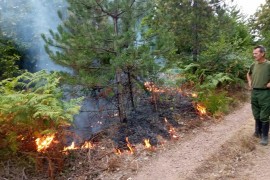 Proširio se požar kod Mišinog Hana, u pomoć pristigao Helikopterski ...