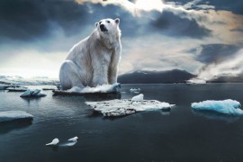 WWA: Klimatske promjene bar 20 odsto odgovorne za poplave