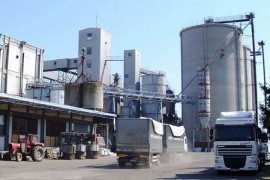 "Draksenić" u oktobru ide na doboš