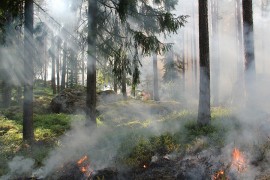 Klimatska kriza zahtjeva radikalne mjere