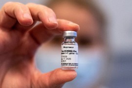 Gincburg: Postoji velika opasnost od pojave novih sojeva virusa korona