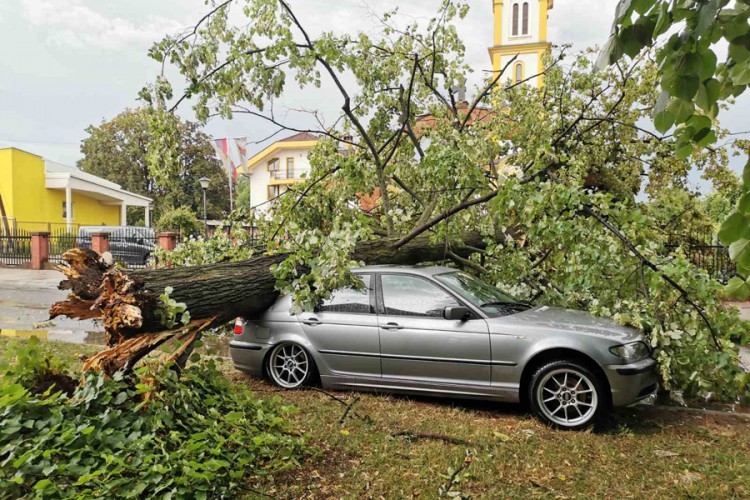 Snažno nevrijeme u Banjaluci, vjetar obarao stabla