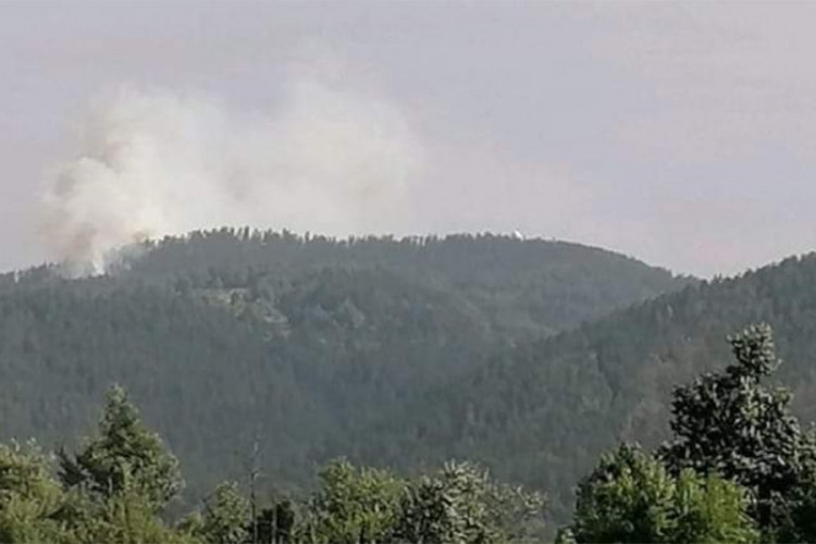 Požar na Zlatiboru