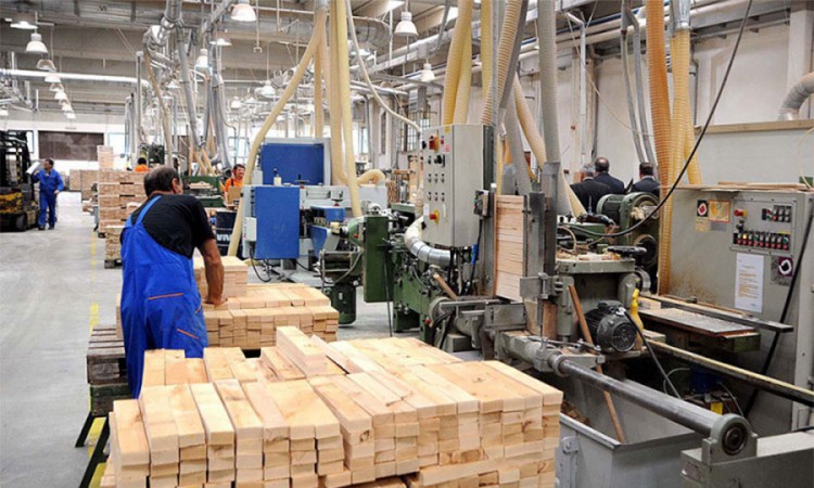 Drvna industrija jedini sektor sa suficitom u BiH