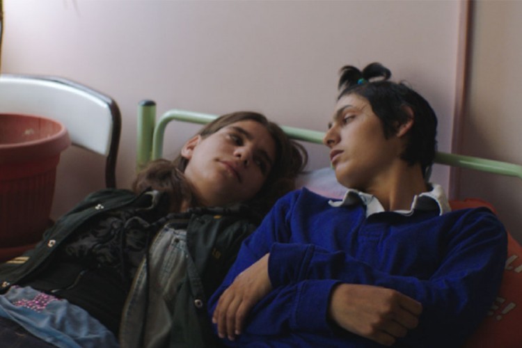 Filmu "Oaza" nagrada "Zlatna mimoza" u Herceg Novom
