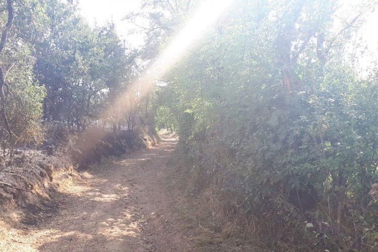 Vatrogasci još na terenu u Mišinom Hanu