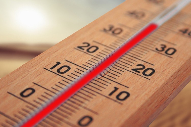 Visoke temperature su neprijatelj proširenim venama