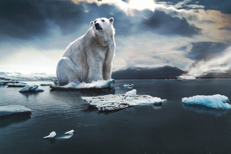 WWA: Klimatske promjene bar 20 odsto odgovorne za poplave