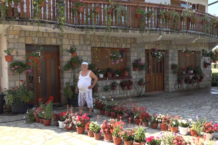 Uzgojem cvijeća pobijedio bolest i depresiju