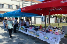 U Bijeljini održan humanitarni bazar za Milenu Božić