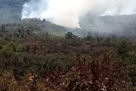 Požarna linija i dalje duga oko pet kilometara