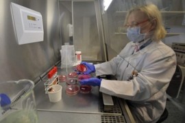 Broj zaraženih u Njemačkoj povećan za 3.736