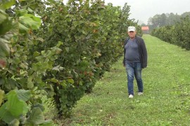 Lješnik kod sanskog proizvođača izgurao jagodu