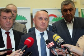 Đokić: Srpska će jačati energetski sektor kroz reformu i nove ...