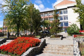Elek: Pretučeni Srbi proveli tešku noć u bolnici