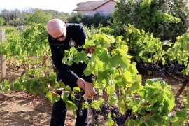 Smoljan: U BiH se može uvoziti sve i svašta