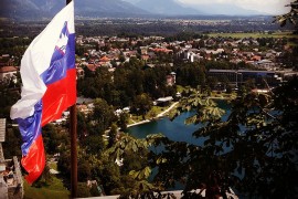Sumnja na prvi slučaj afričke svinjske kuge u Sloveniji
