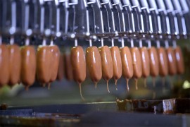 "Frikom" i "Ledo" prodati britanskoj kompaniji "Nomad Foods" za 615 ...