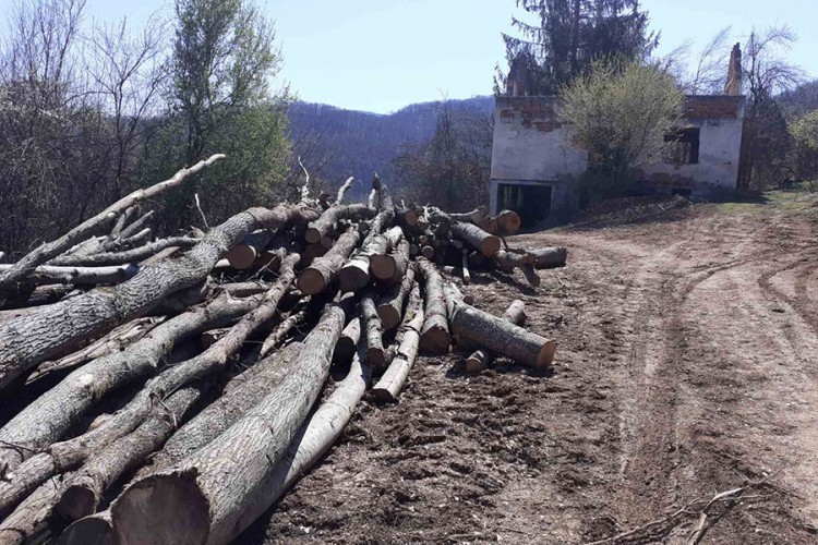 Uhvaćen tokom šumske krađe