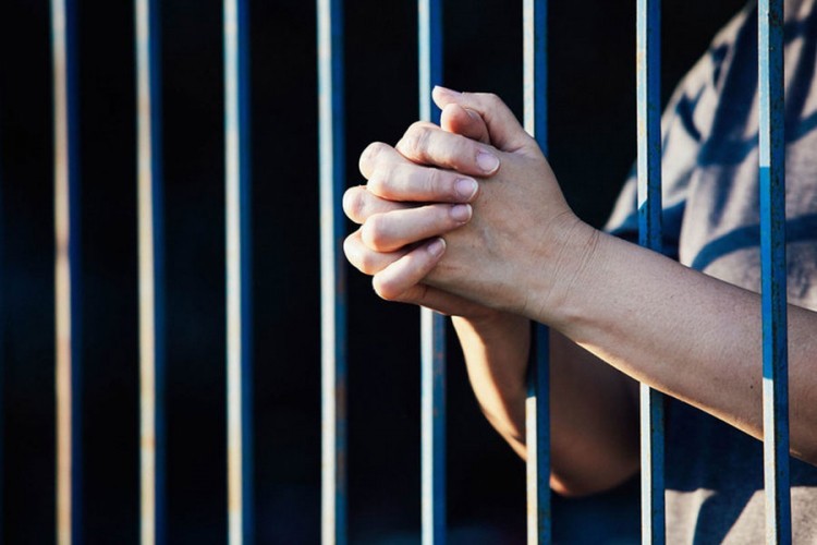 Za silovanje psa godina dana zatvora