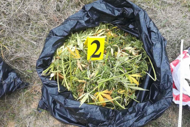 Zaplijenjeno 17,5 kilograma marihuane
