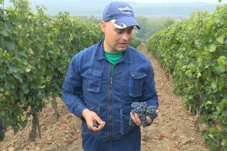 Vino iz Sanskog Mosta našlo put i do Austrije