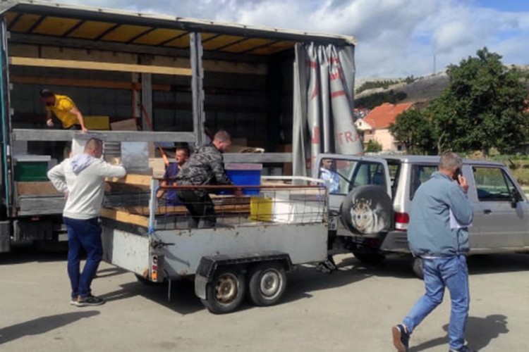 Početnicima 12 paketa sa po pet košnica