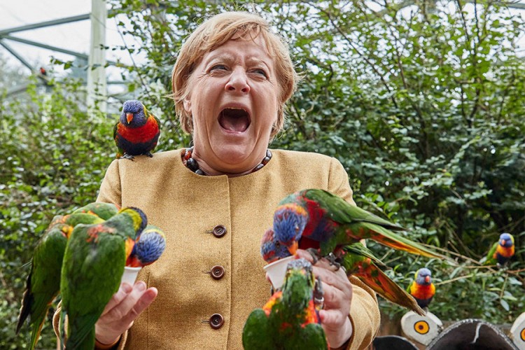 Merkel: Jao, grize me