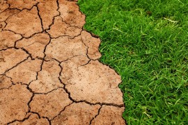 SZO i svjetski doktori za jaču borbu sa klimatskim promjenama
