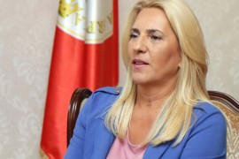 Cvijanović: U Srpskoj na dnevnom redu nisu sukobi