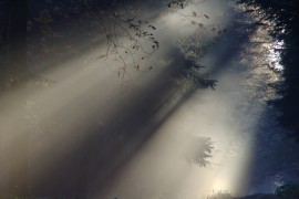 Na snazi žuto upozorenje za Bihać, Sarajevo i Tuzlu zbog magle