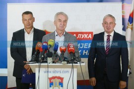 DNS zabio klin u jedinstvo opozicije?