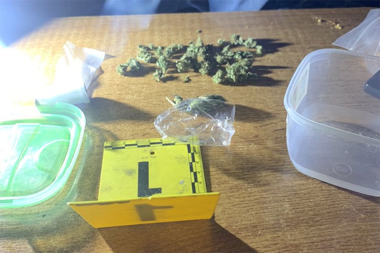 Braća na udaru akcije "Kop": U pretresima pronađena konoplja i marihuana