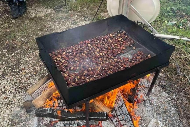 Domaćini besplatno podijelili više stotina kg kestena