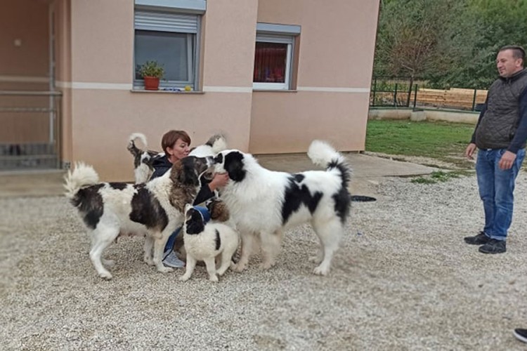 Kako je Sevdah iz Bužima pokorio svijet?