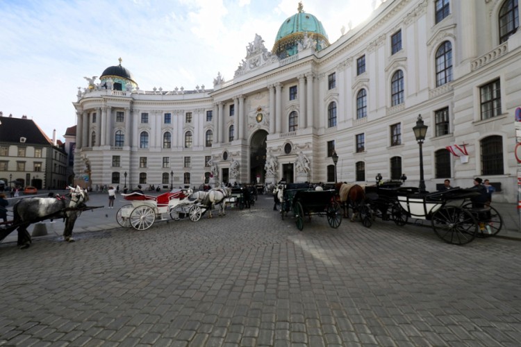 Ko će kontrolisati zaključavanje nevakcinisanih u Austriji