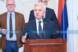 Čubrilović: Neefikasne institucije formirane na nivou BiH