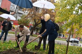 Akcija "Zasadi ili doniraj":  Meridian obnavlja drvorede